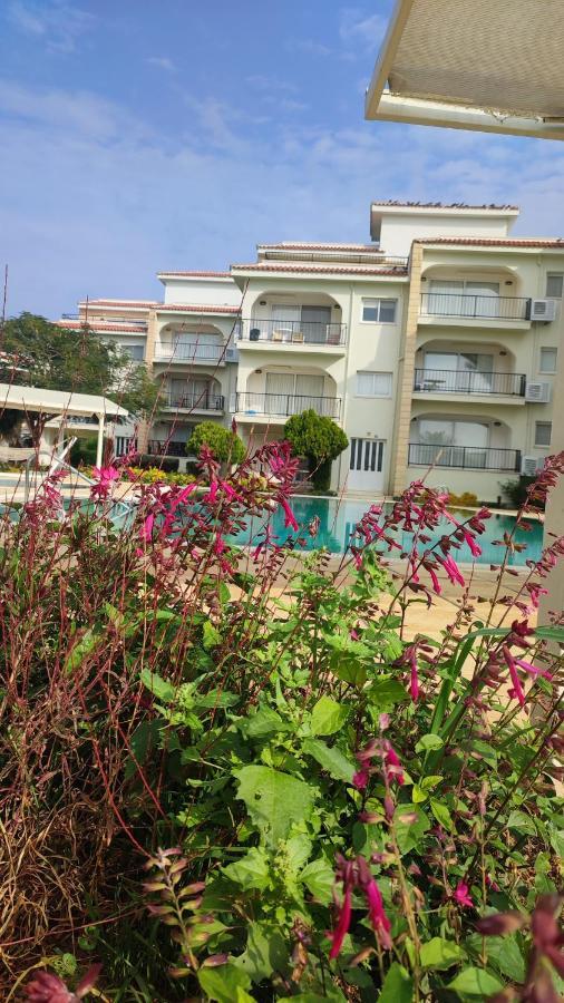 Boghaz Fantastic 4 Cyprus First Line Beachfront מראה חיצוני תמונה